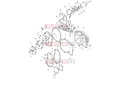 T1261433.webp